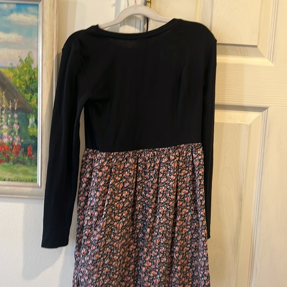 Gap Skater Dress - Picture 4 of 5